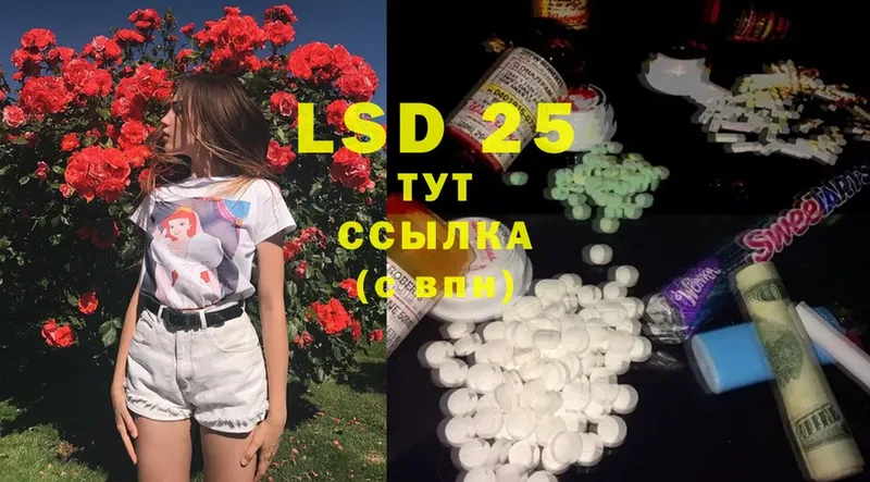 Лсд 25 экстази ecstasy  где найти наркотики  блэк спрут   Камышин 